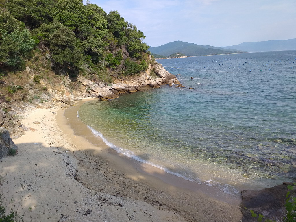  Divlja uvala i plaža Džungla 